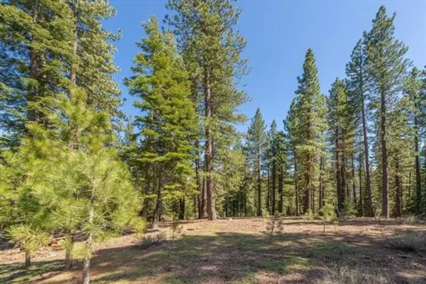 Truckee, CA 96161,12721 Granite Drive