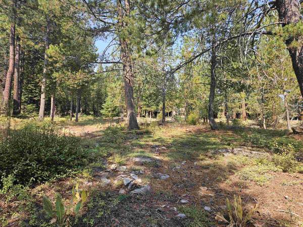 12996 Solvang Way, Truckee, CA 96161