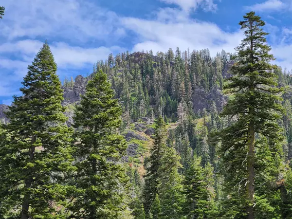 Alpine Meadows, CA 96146-0000,2090 Chalet Road #2