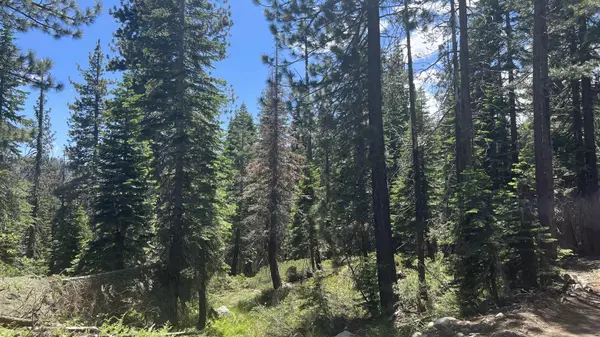 Soda Springs, CA 95728,51460 Red Fir Drive