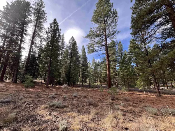 Truckee, CA 96161,15411 Kent Drive