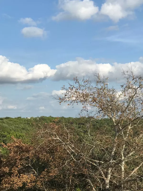 Kerrville, TX 78028,146 Turtle Creek View