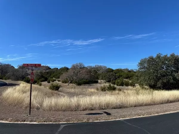 Ingram, TX 78025,00 Elm Valley Dr