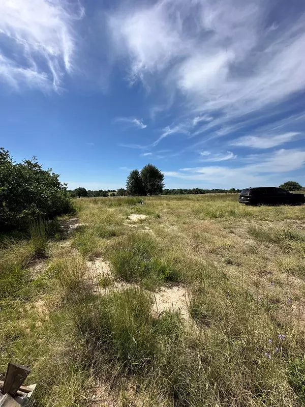 Harper, TX 78631,123 Lipan Loop