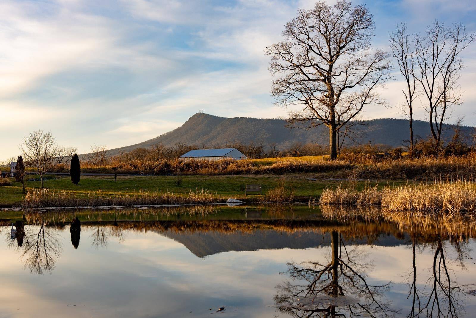 Mcgaheysville, VA 22840,Lot-78 DALMATIAN DR
