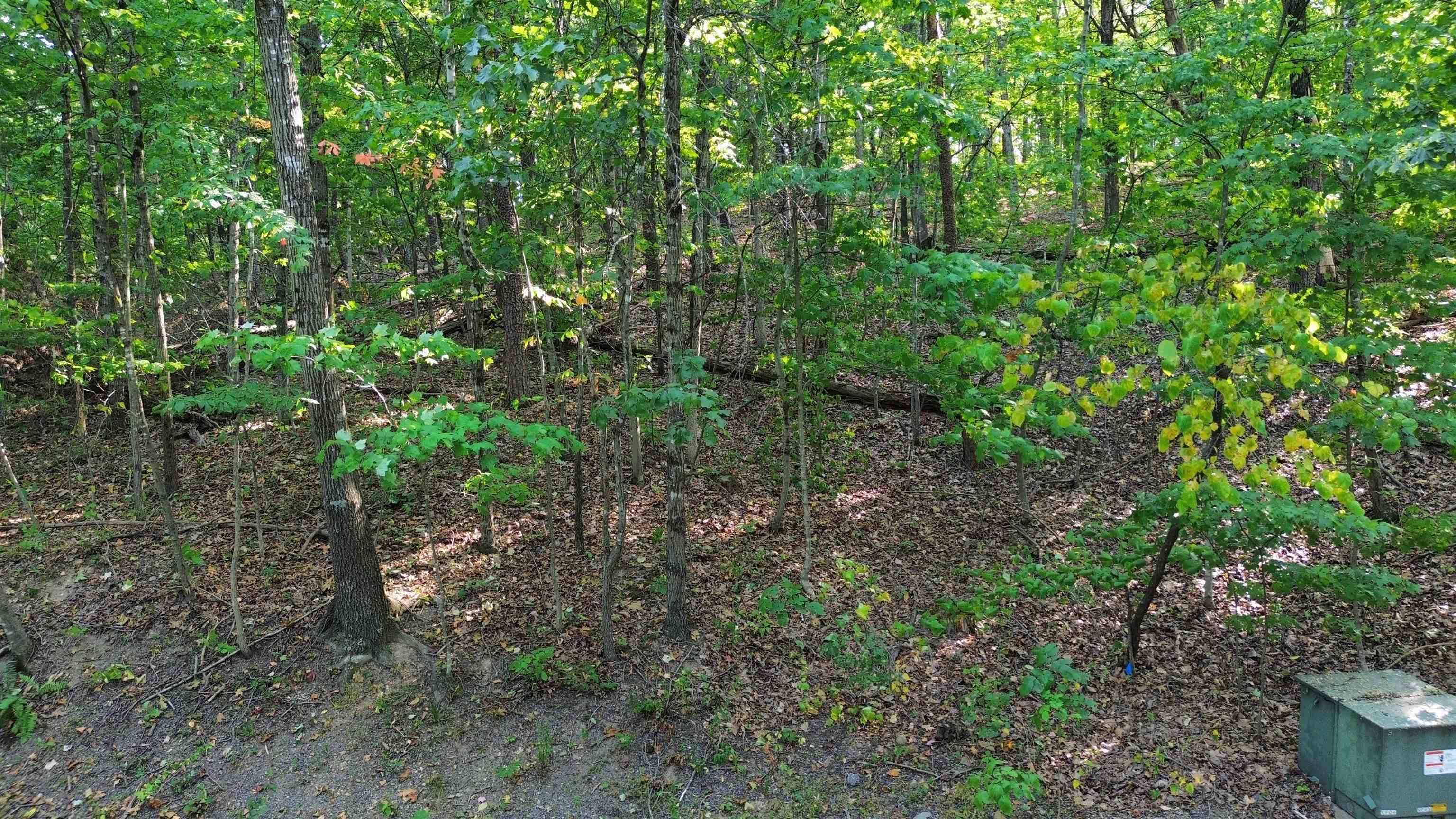 LOT 19 DALE DR, Basye, VA 22810