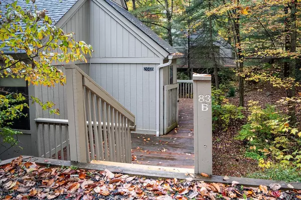 Basye, VA 22810,#83B266 SPITZ LN