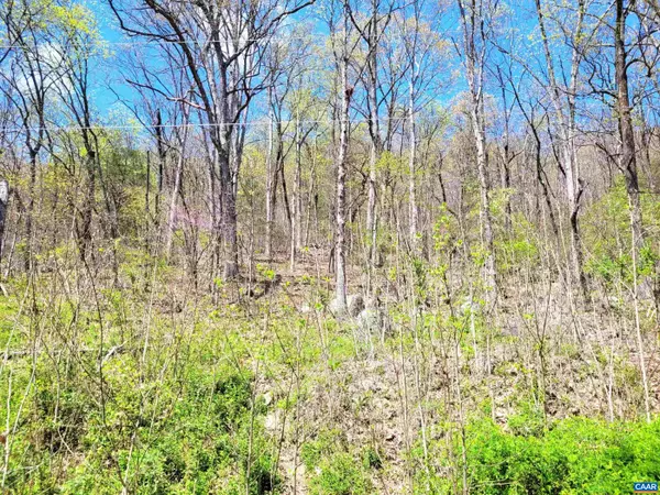 Stanardsville, VA 22973,TBD Lot 41 FARMVIEW RD