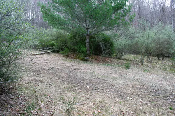 Monterey, VA 24465,TBD E HIGHLAND TPKE