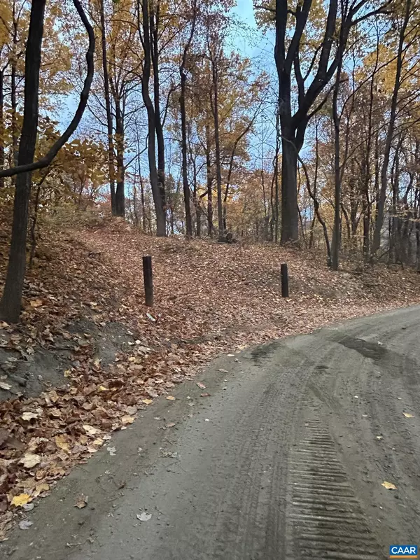 2493 WYATT MOUNTAIN RD, Dyke, VA 22935