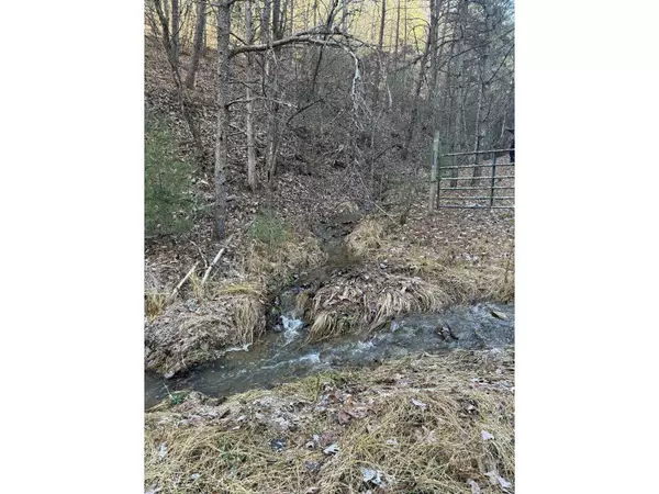 Sugar Grove, WV 26815,21 acres BUCK HILL LN