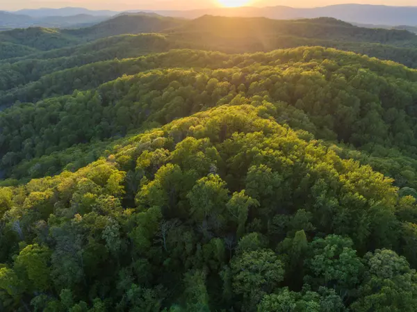 Charlottesville, VA 22903,1166 MONACAN TRAIL RD