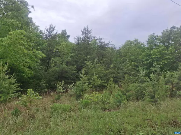 Palmyra, VA 22963,0 INDIAN PIPE RUN