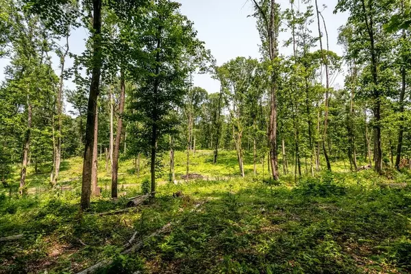 Timberville, VA 22853,0 PINEY WOODS RD