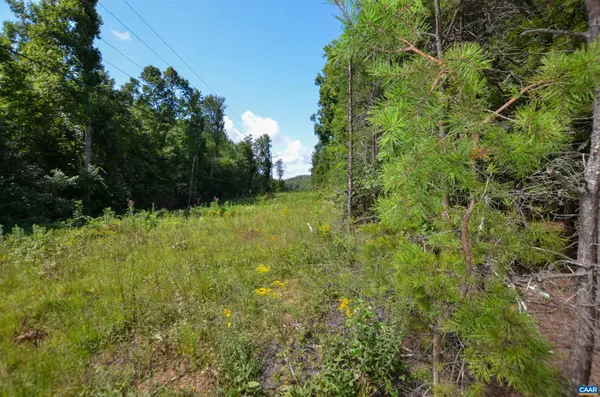 North Garden, VA 22959,DUDLEY MOUNTAIN RD