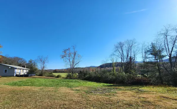 Williamsville, VA 24487,11611 COWPASTURE RIVER RD S