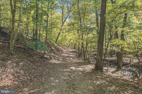 Linden, VA,FIERY RUN RD