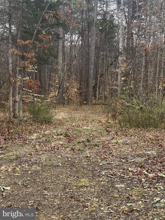 WAYLANDS MILL, Leon, VA 22725