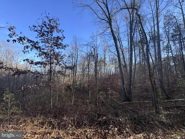 Rochelle, VA 22738,0 BUGGY LN