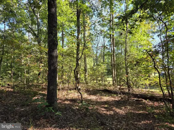 Fredericksburg, VA 22408,7845 FLIPPO DR