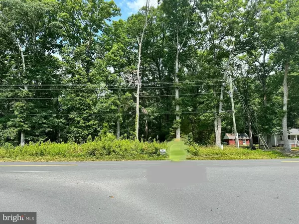 Fredericksburg, VA 22408,10220 JIM MORRIS RD