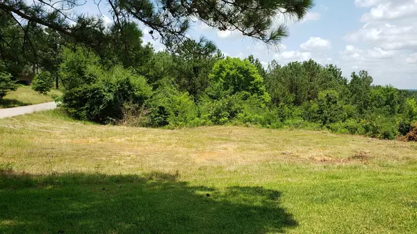 Brownsboro, TX 75756,11082 Skyline DR
