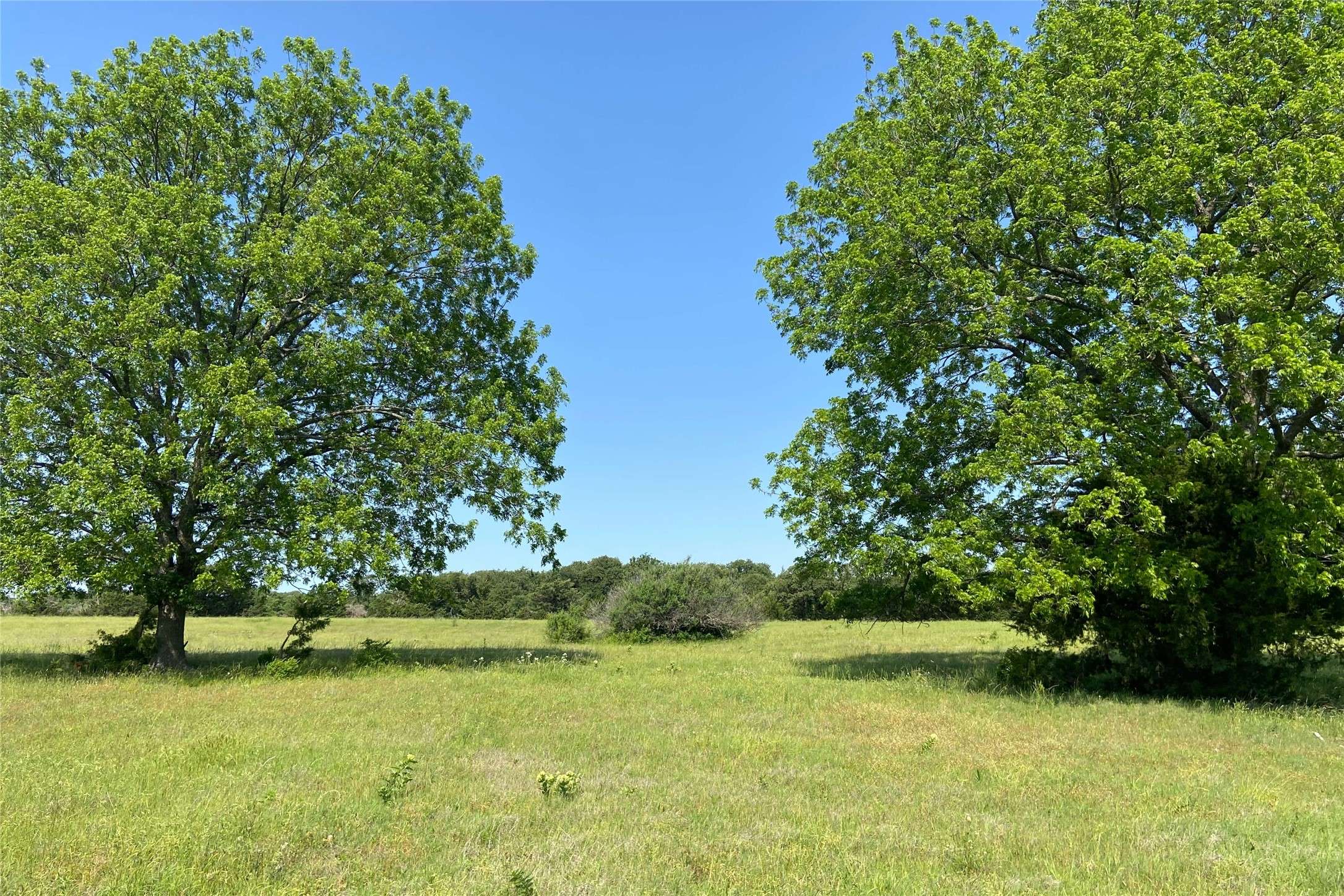 TBD4 County Rd 141, Callisburg, TX 76240