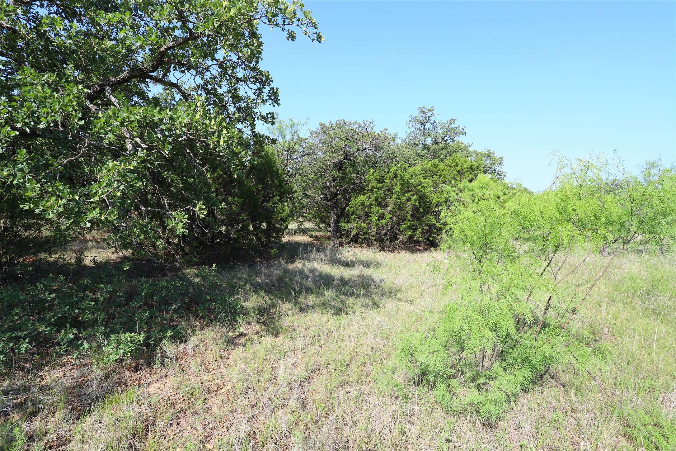 Gordon, TX 76453,895 Post Oak RD