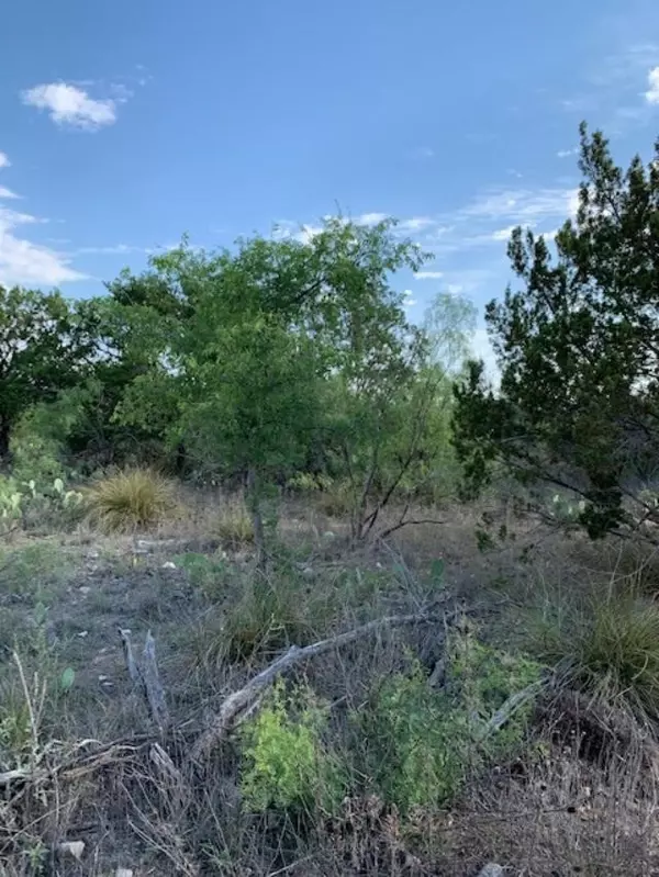 Ozona, TX 76943,2660 Ranch House RD