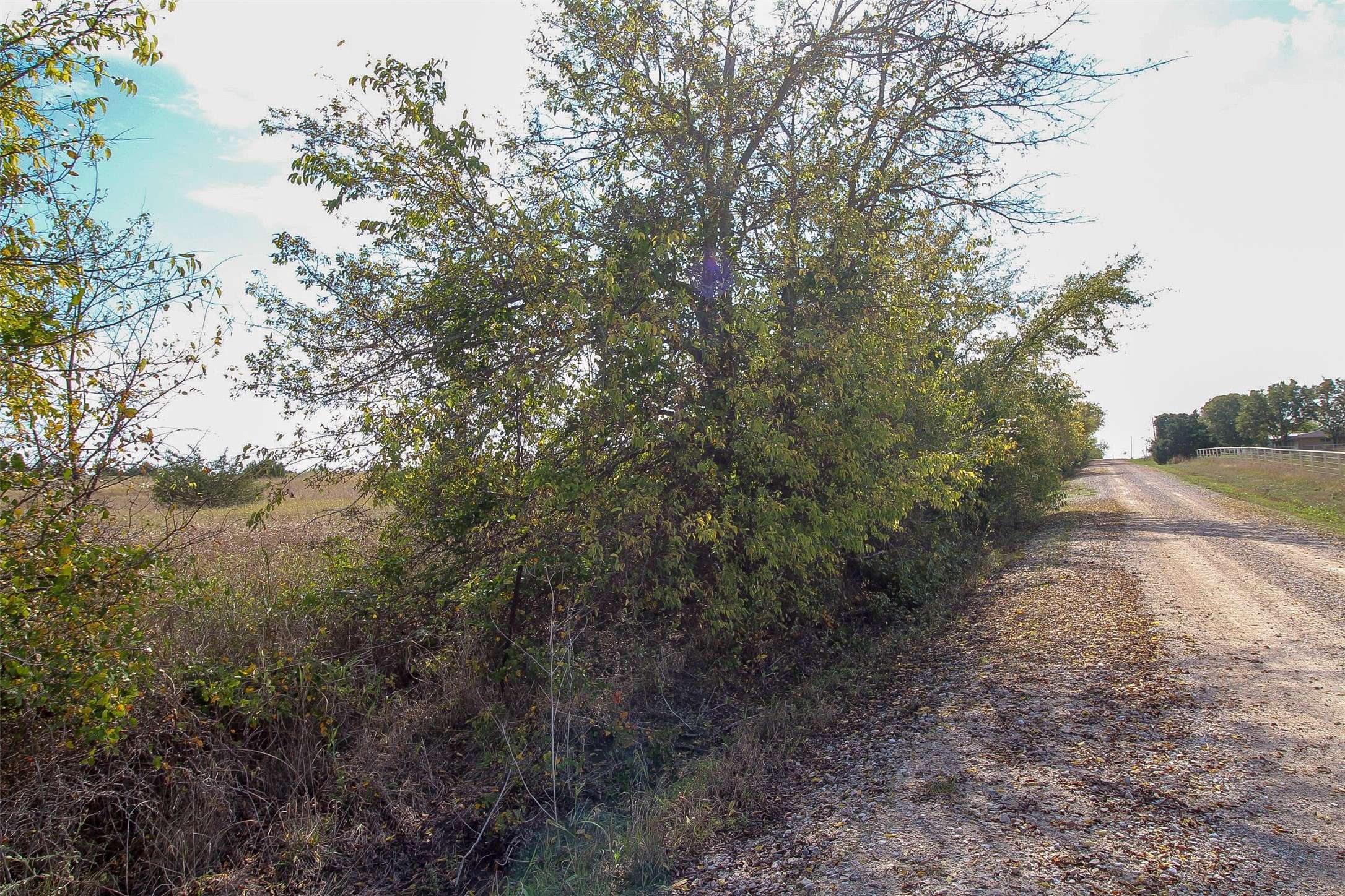 Farmersville, TX 75442,Lot 2 County Road 705