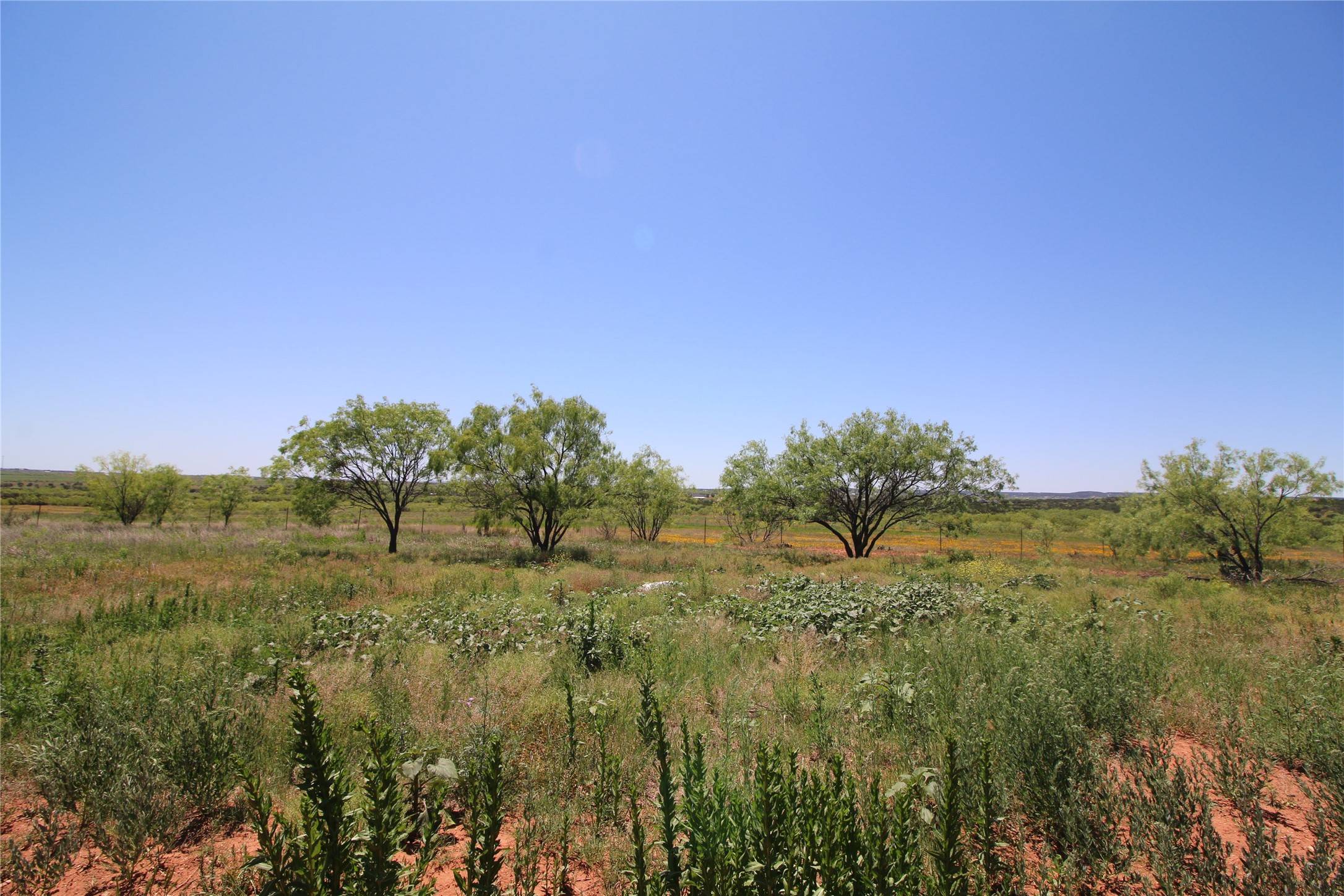 Tuscola, TX 79562,Lot 3 Marshal TRL