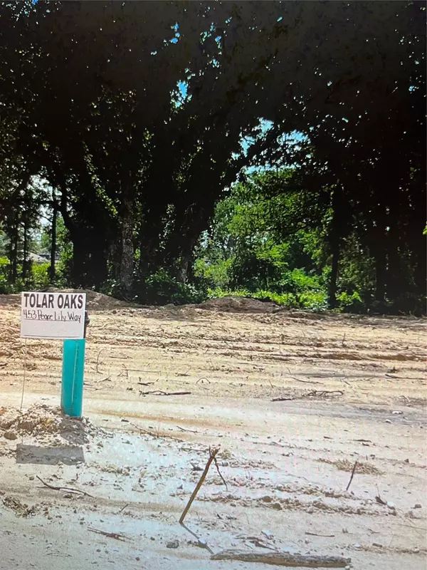 453 Peace Lily WAY, Tolar, TX 76476