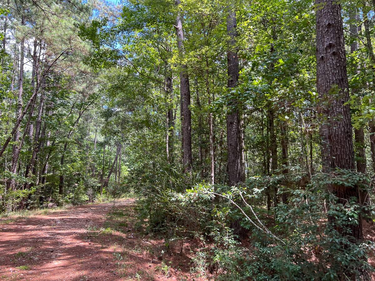 Woodville, TX 77664,0 US 69