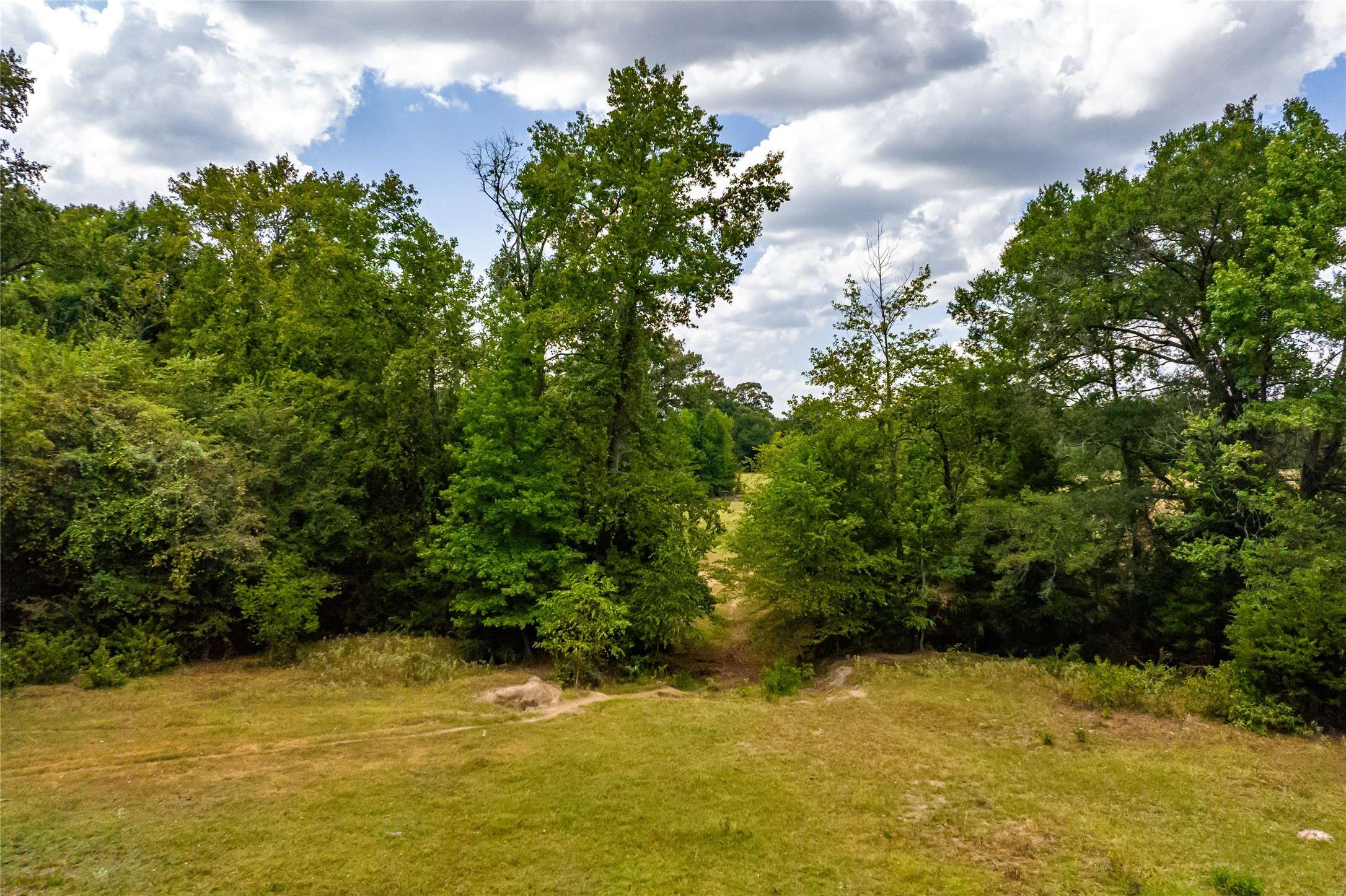 Pickton, TX 75471,87 Acres Farm Road 269
