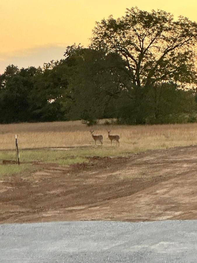 Alvord, TX 76225,107 (Lot A1) Hidden Timbers DR