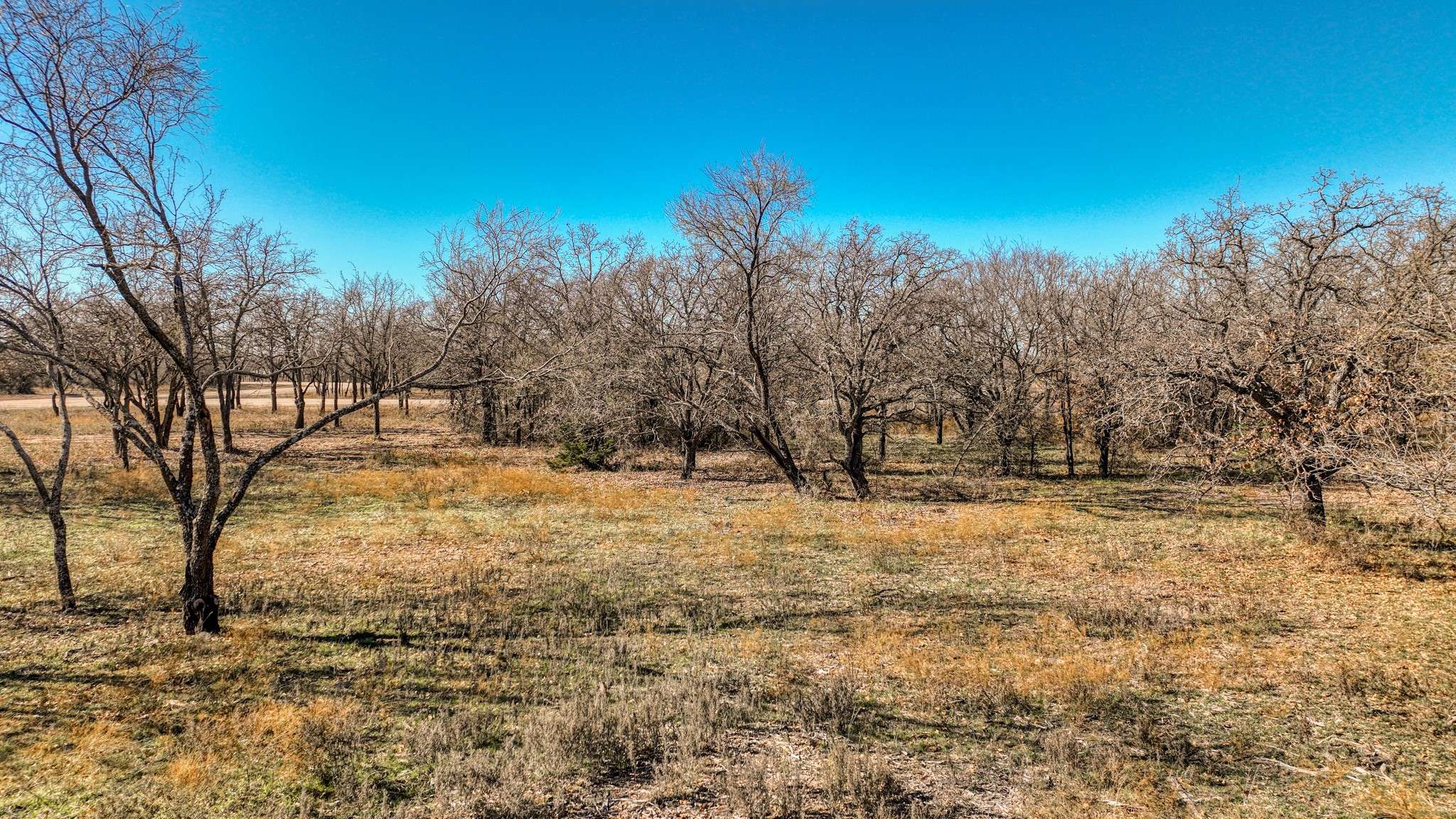 Perrin, TX 76486,TBD Rambling RD