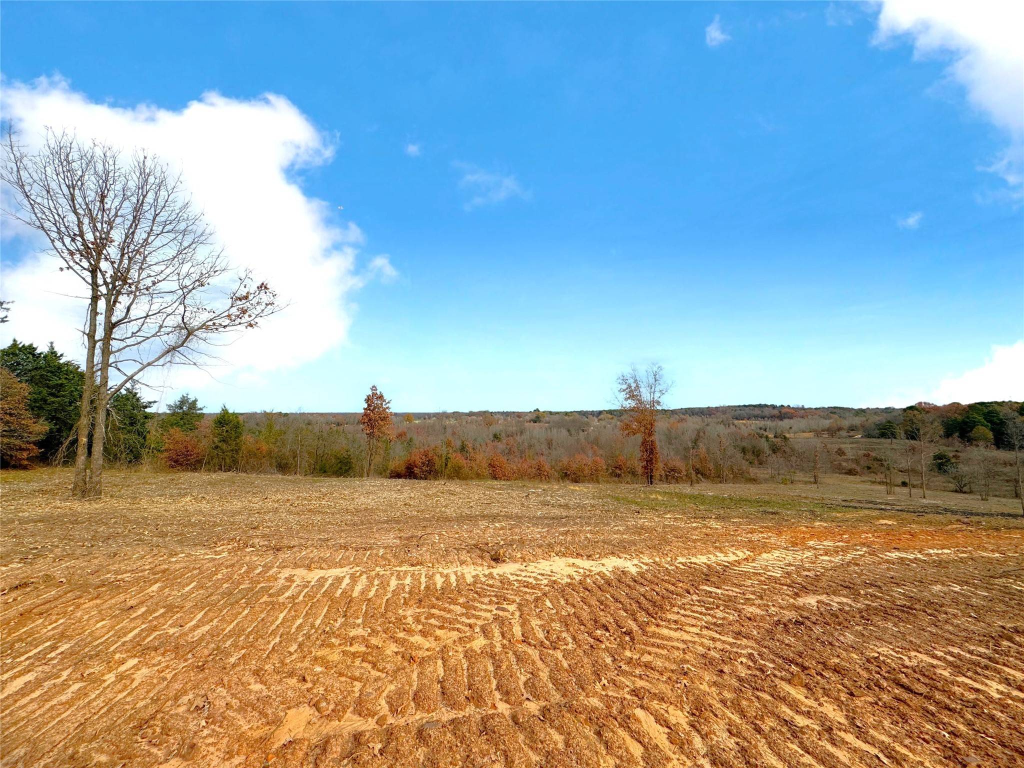 Cookville, TX 75558,TBD CR 4340