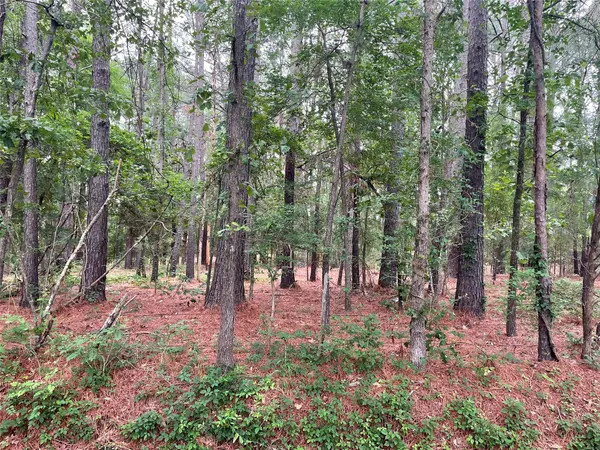 20348 County Road 4106 #Lot 12, Lindale, TX 75771