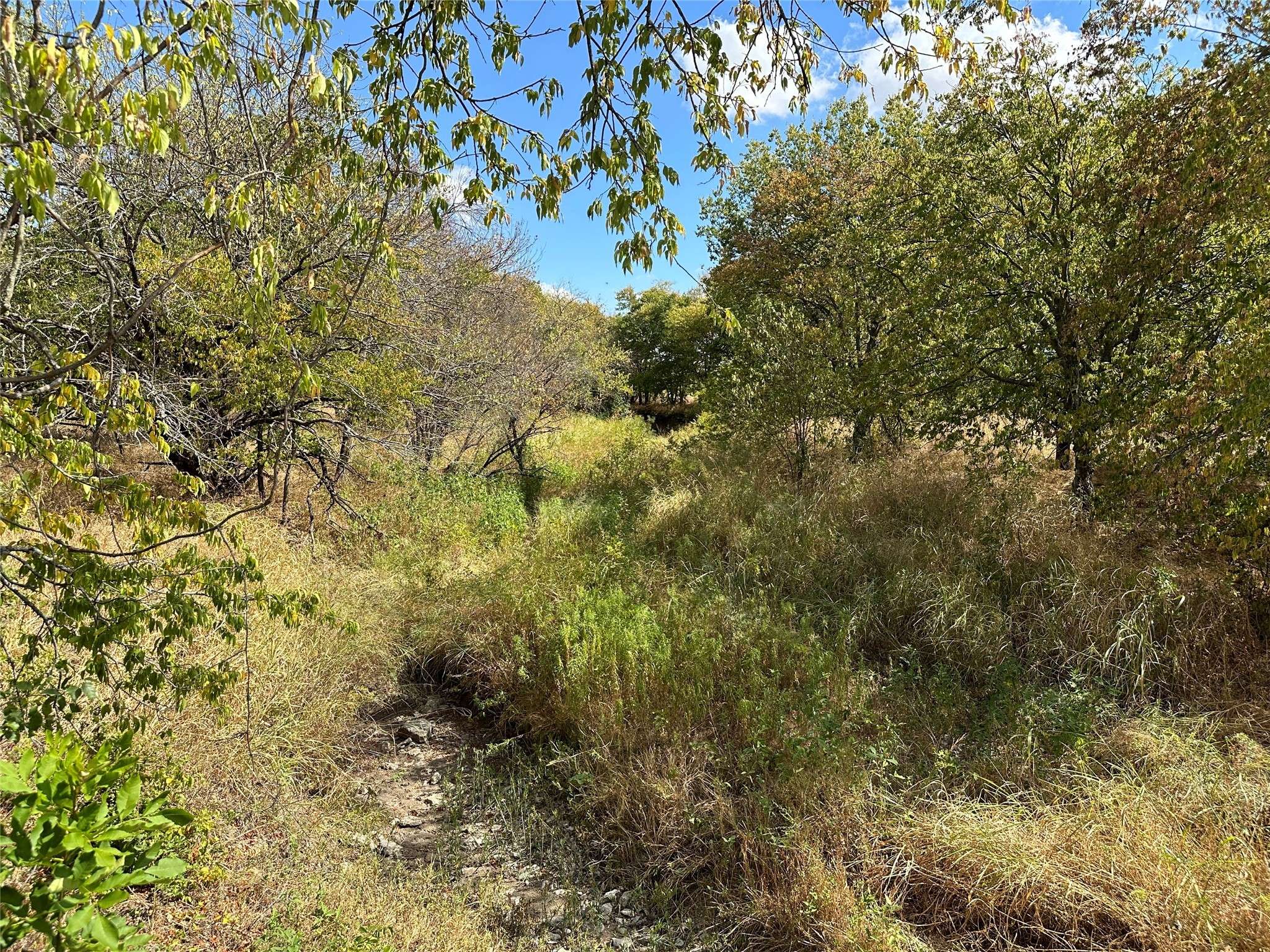 Sanger, TX 76266,TBD Lois RD W
