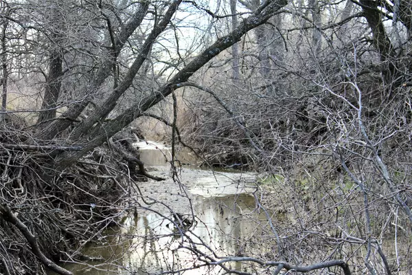 Abbott, TX 76621,250 HCR 2302 S