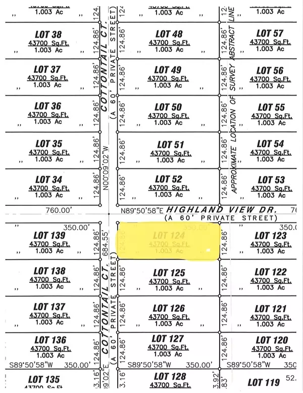 Springtown, TX 76082,6001 Cotton Tail CT