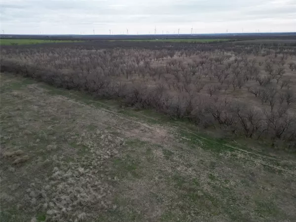 Abilene, TX 79601,Tract 23 CR 105