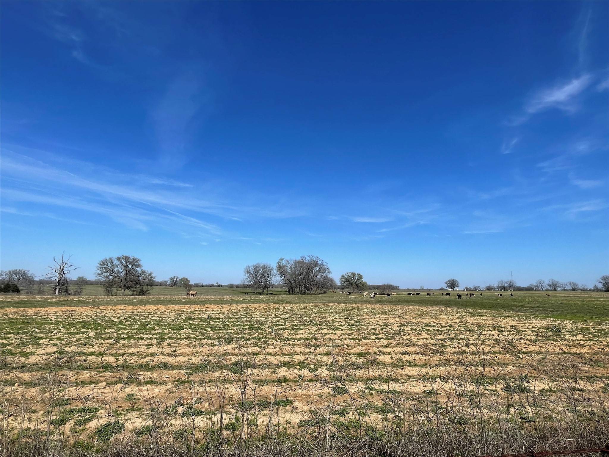 Grand Saline, TX 75140,TBD ST HWY 110