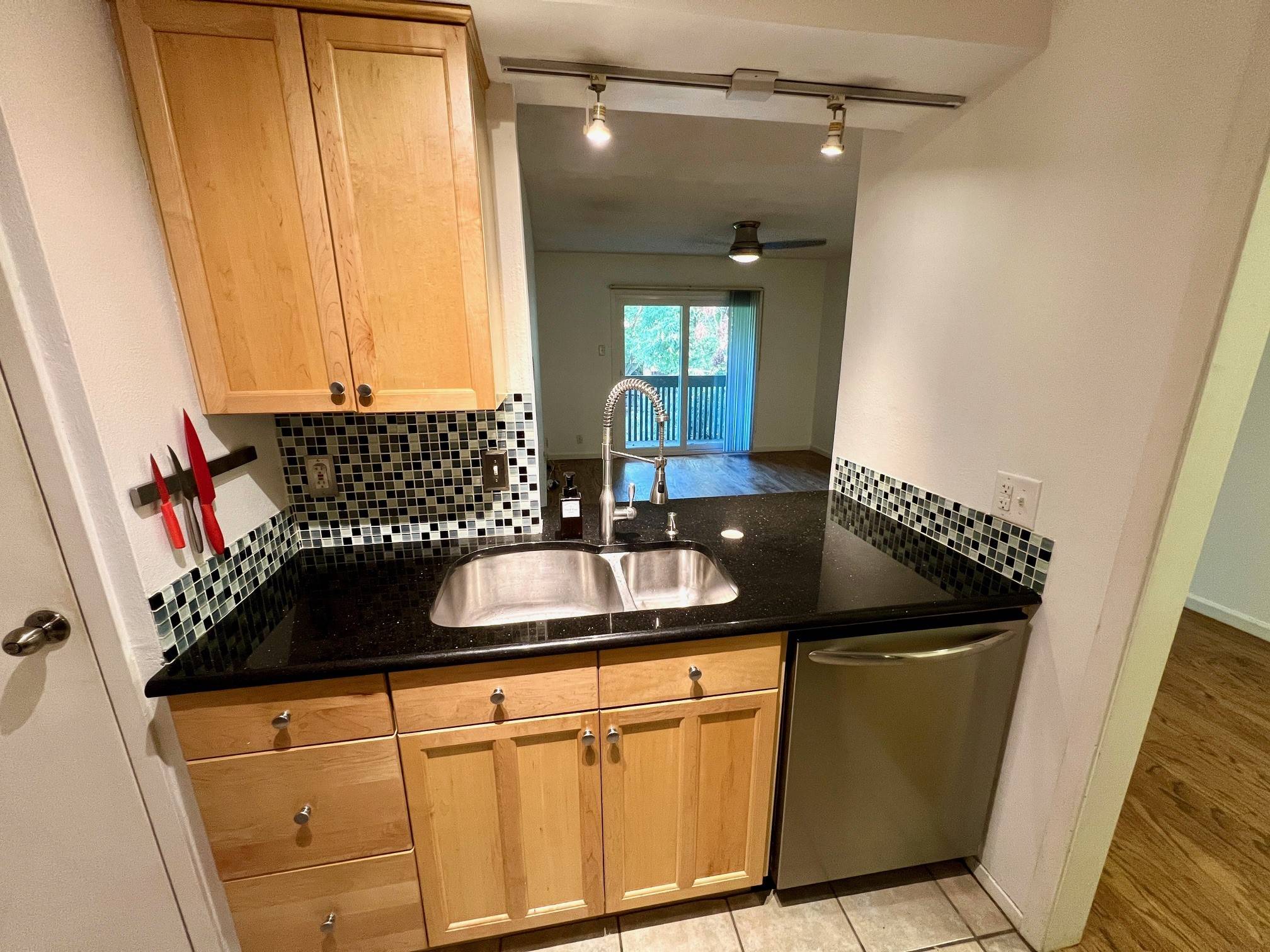 Dallas, TX 75219,4845 Cedar Springs RD #368