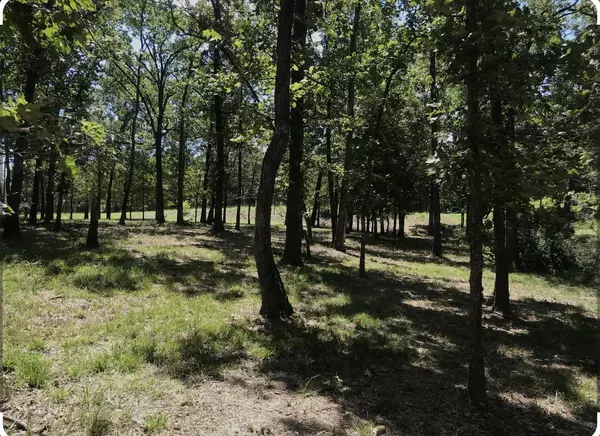 Mabank, TX 75156,TBD Esquire Estates RD