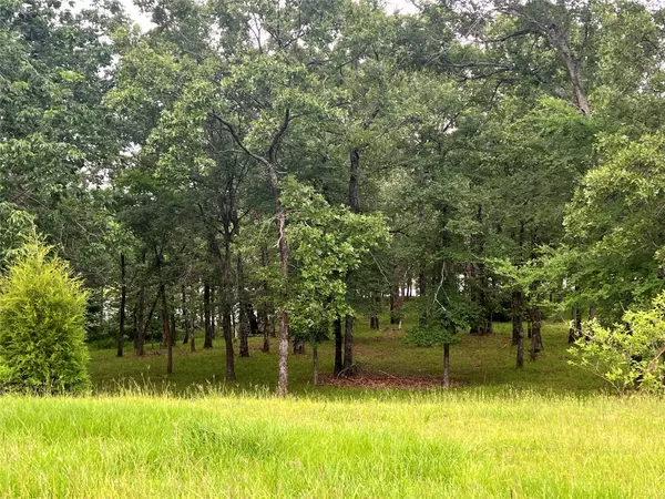 Mabank, TX 75156,TBD Esquire Estates RD