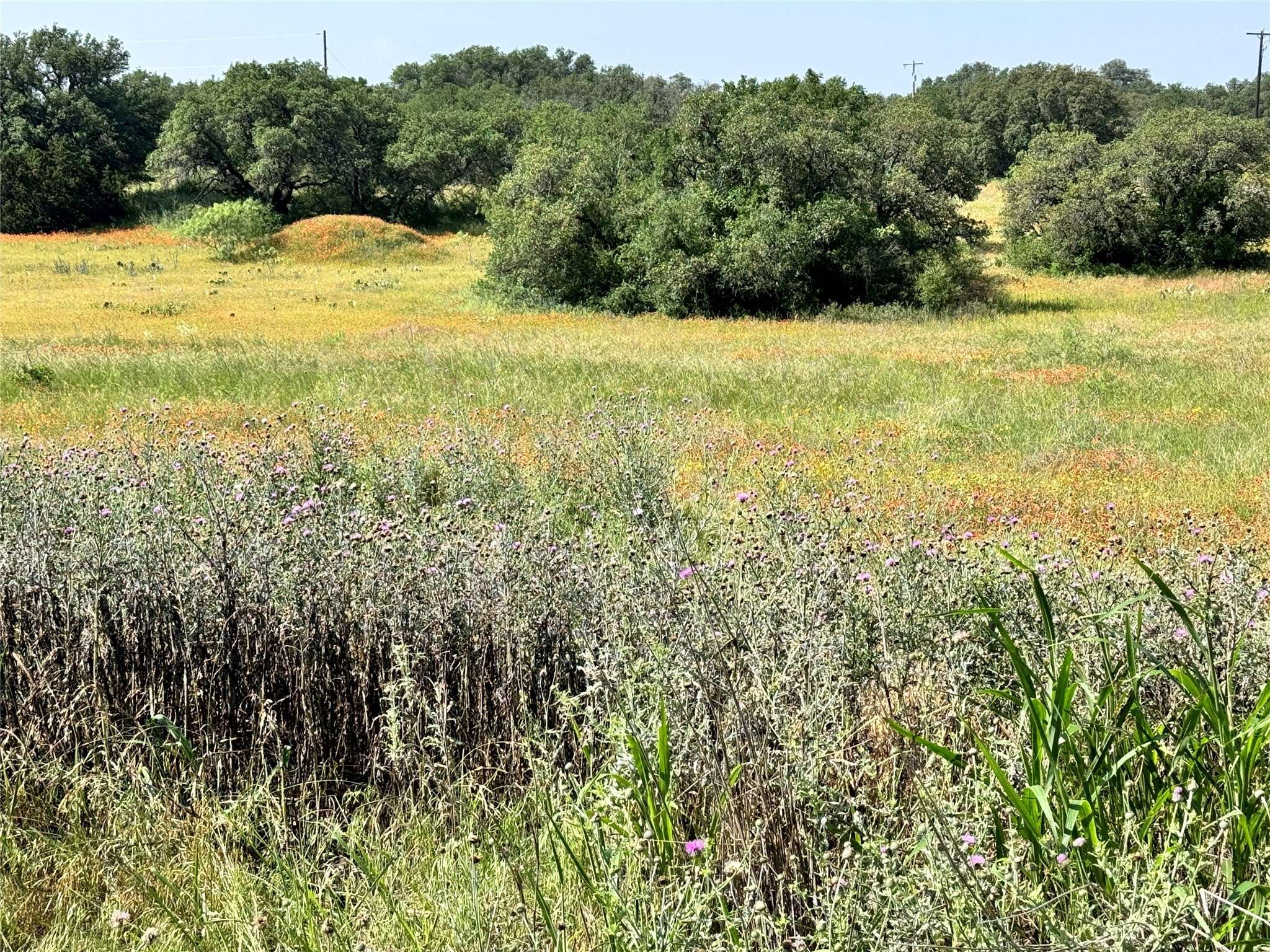 Brownwood, TX 76801,TBD Lot 991, 992 Long View DR