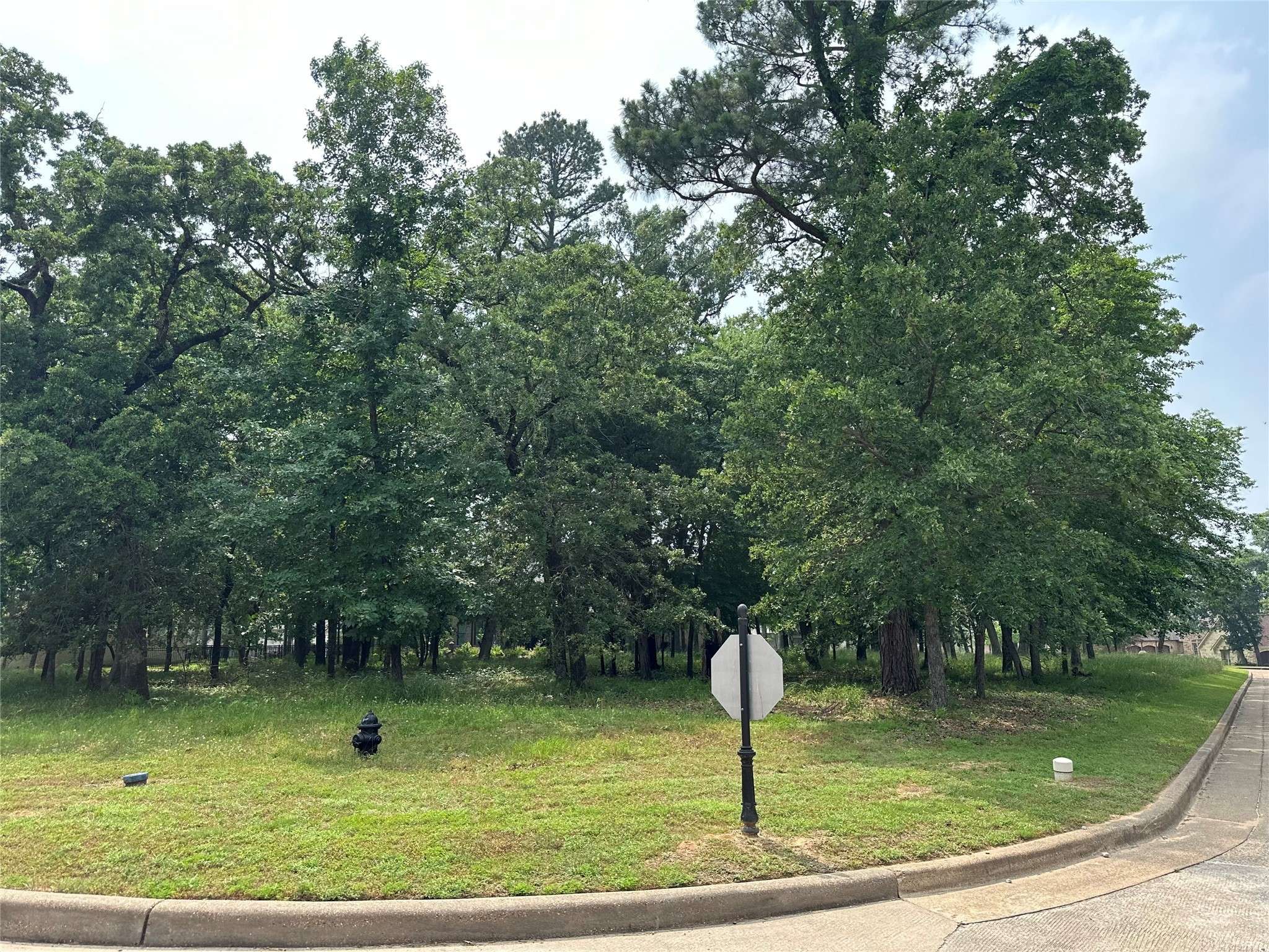 Bullard, TX 75757,160 S Eagles Bluff BLVD