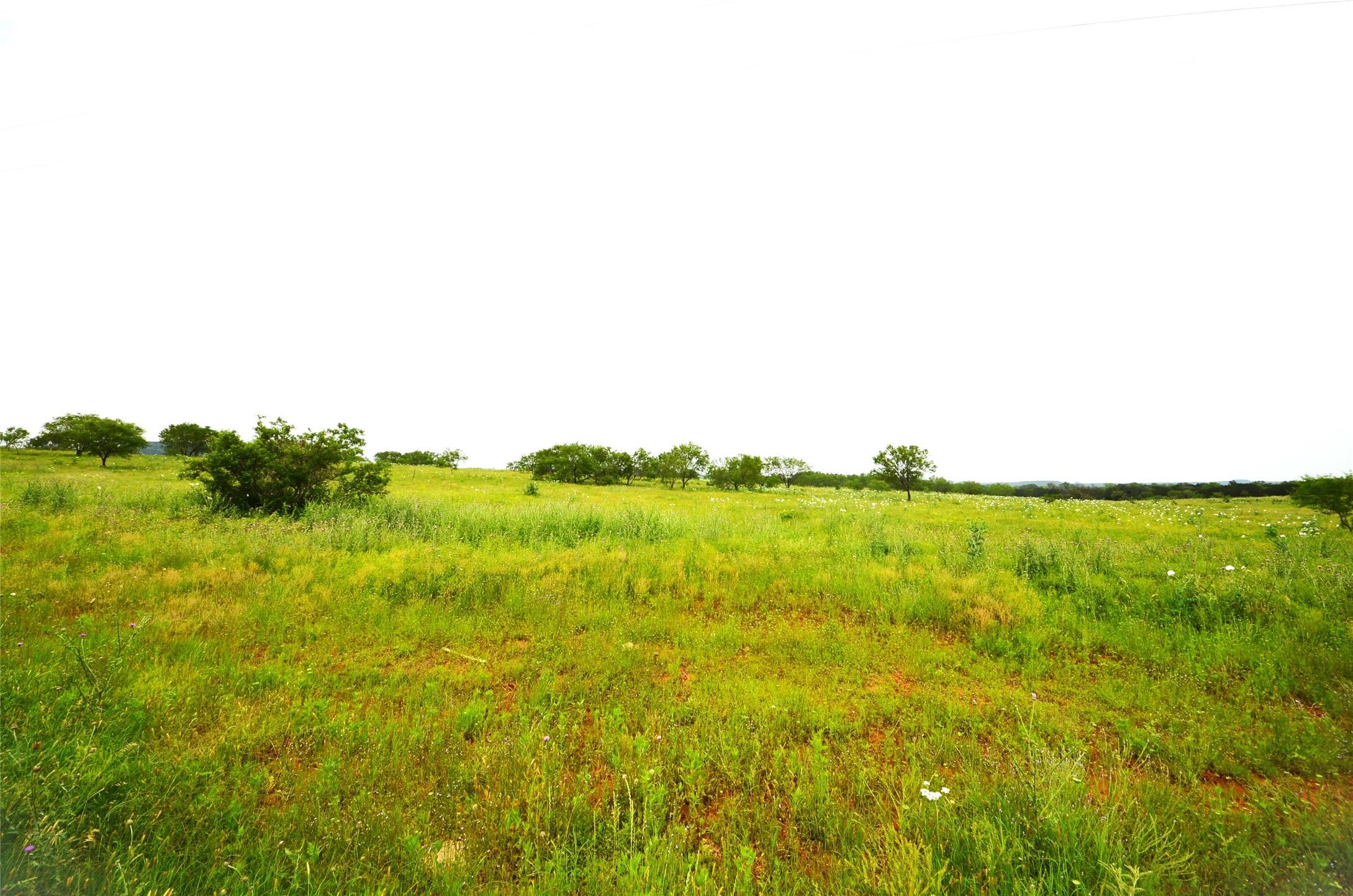 Palo Pinto, TX 76484,TBD Grouse RDG