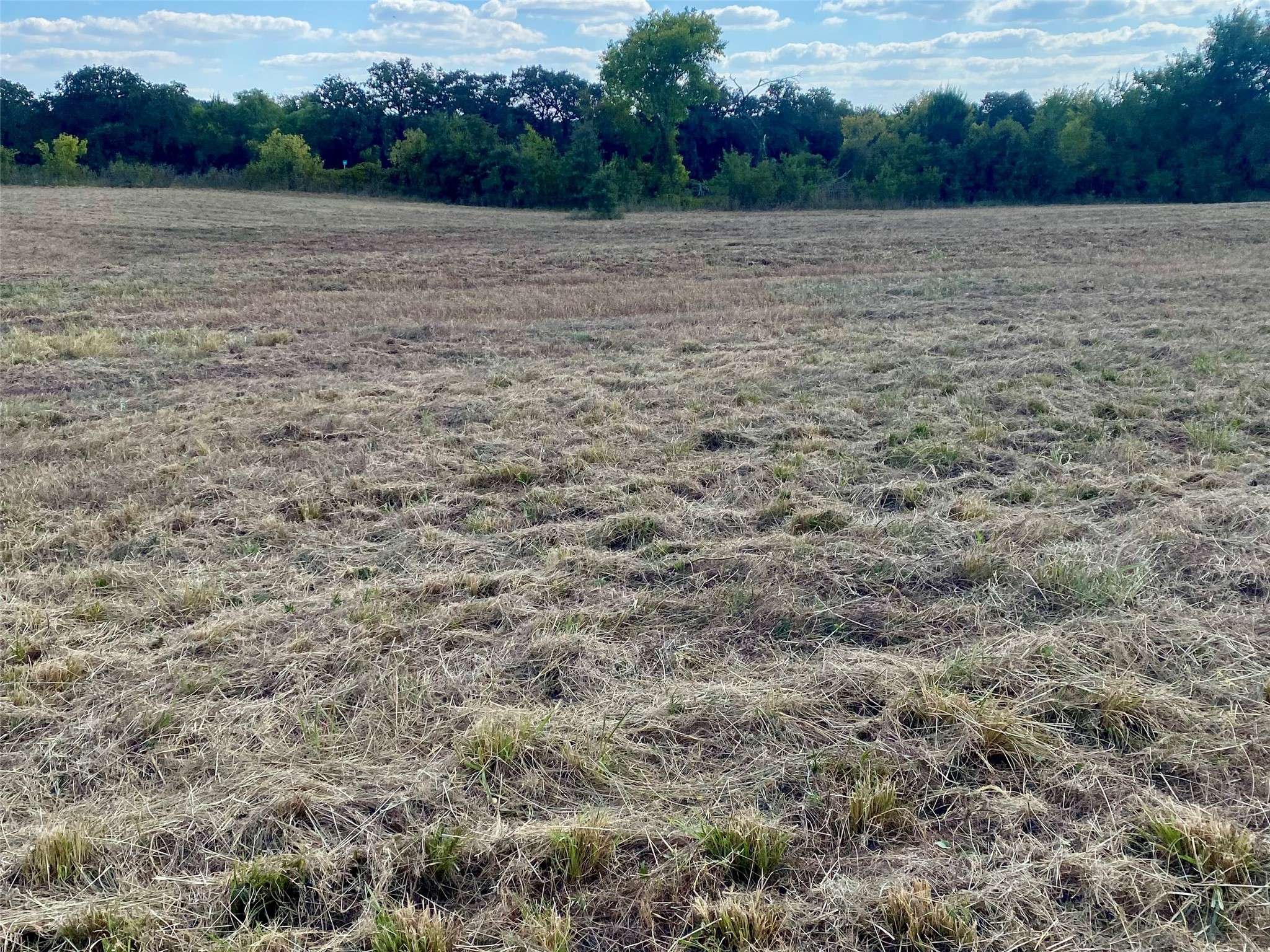 Montague, TX 76251,4678 Fenoglio RD